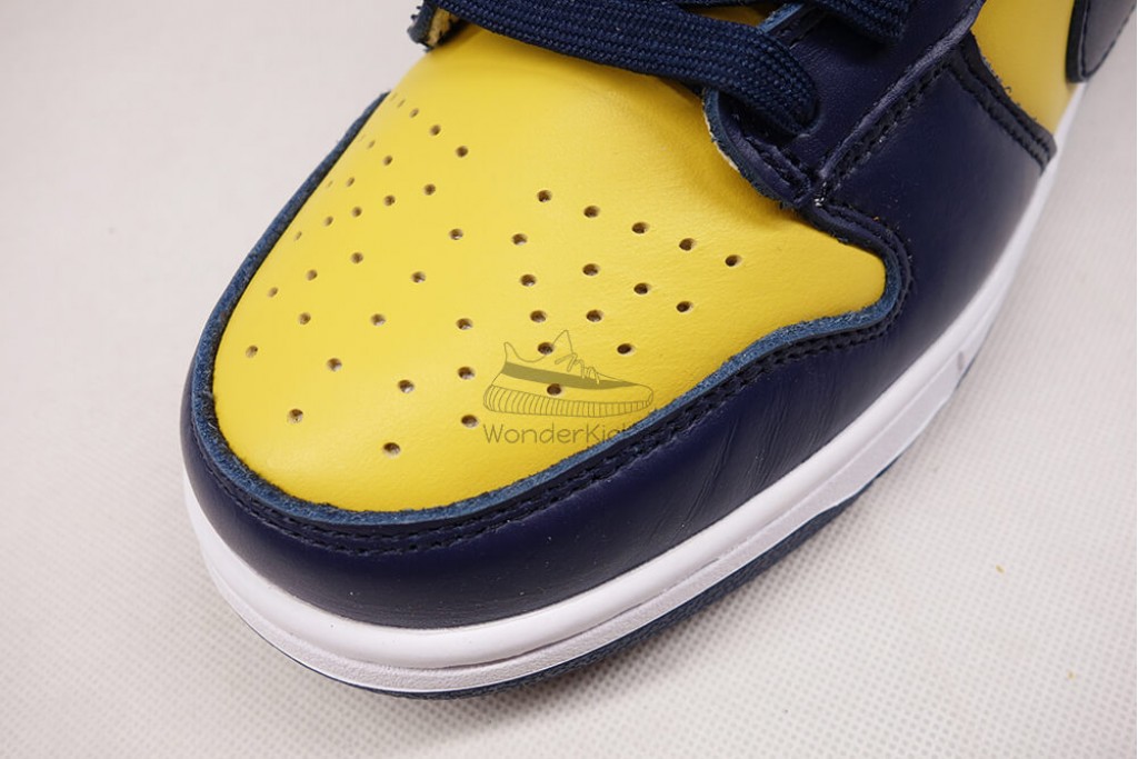 dunk low michigan (2021)